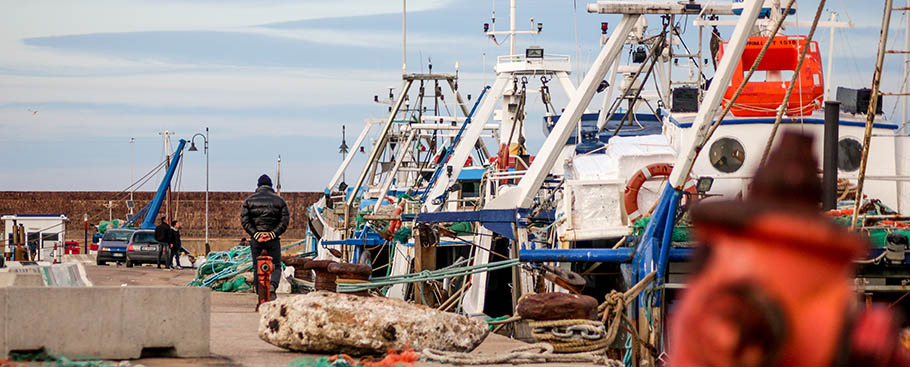 Proyecto Searcular: reducir los plásticos marinos en la pesca europea SEARCULAR