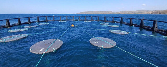 materiales_biodegradables_en_entornos_marinos