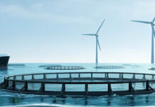 Artículo científico apunta al potencial del uso compartido del espacio marino de la eólica flotante y la acuicultura en aguas españolas acuicultura_eolica_marina_juntos