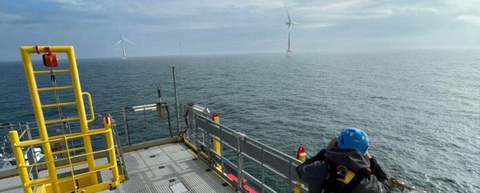 ia_colision_aves_aerogeneradores ia_colision_aves_aerogeneradores