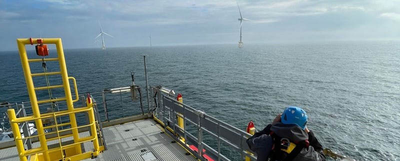 Vatenfall emplea IA para analizar la colisión de aves en parques eólicos marinos ia_colision_aves_aerogeneradores