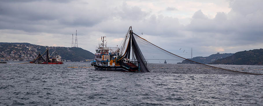 Dos líneas de actuación para proteger al sector pesquero español sector_pesquero