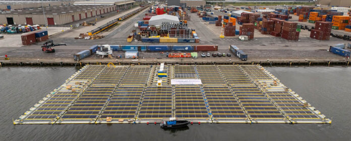 parque_solar_flotante_Nymphaea_Aurora parque_solar_flotante_Nymphaea_Aurora