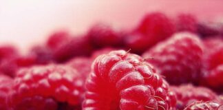 The True Meaning of Paleo