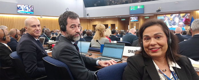 reelección_España_miembro_OMI reelección_España_miembro_OMI